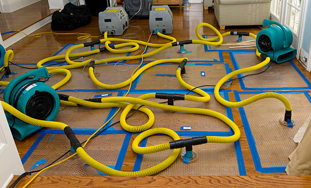 Professional Structural Drying And Dehumidification technician working in Cloverdale, OH
