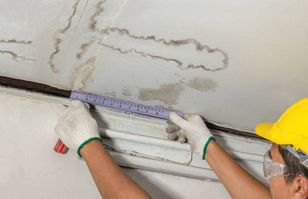 Affordable Water Damage Repair solutions in Cloverdale, OH